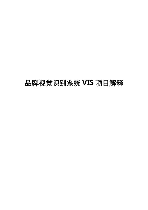 VIS--项目明细解释