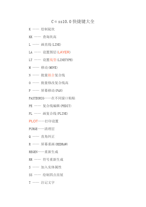 Cαss10.0快捷键大全