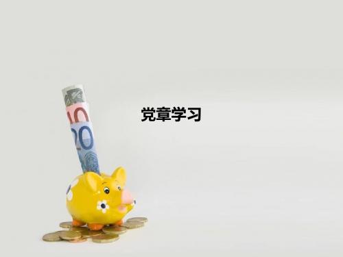 党章学习