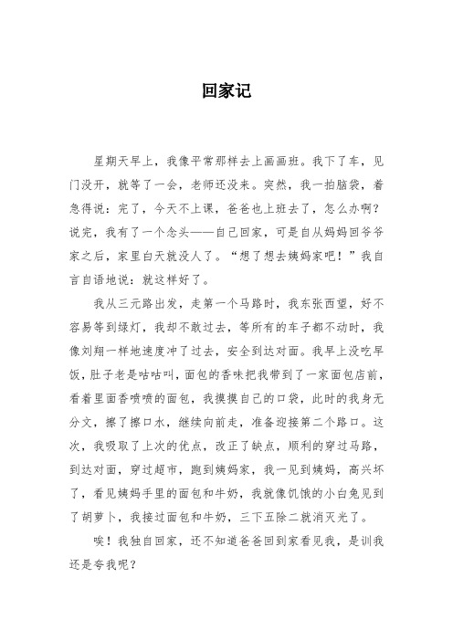 小学三年级作文:回家记808