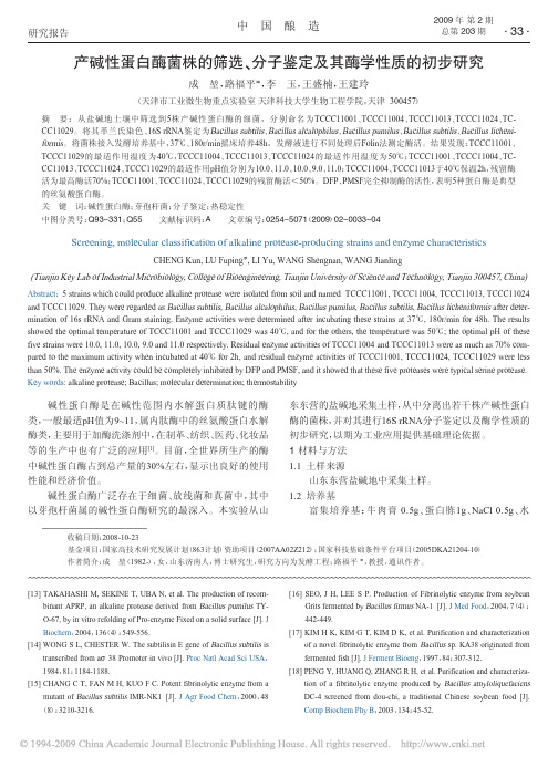 产碱性蛋白酶菌株的筛选_分子鉴定及其酶学性质的初步研究