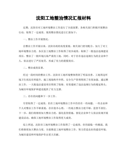 沈阳工地整治情况汇报材料