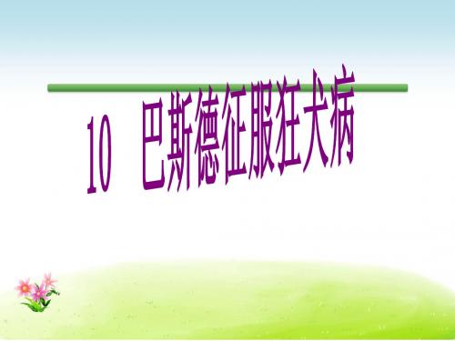 语文S版语文四年级下册优质课件第3单元10巴斯德征服狂犬病.ppt