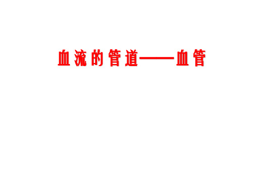 4.4.2血流的管道—血管课件-2020-2021学年七年级下学期生物人教版