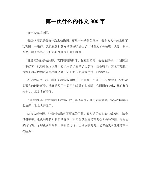 第一次什么的作文300字