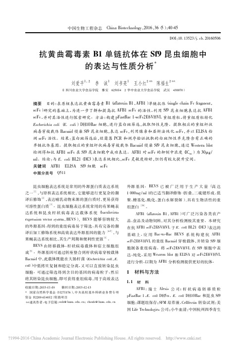 抗黄曲霉毒素B1单链抗体在Sf9昆虫细胞中的表达与性质分析_刘爱平