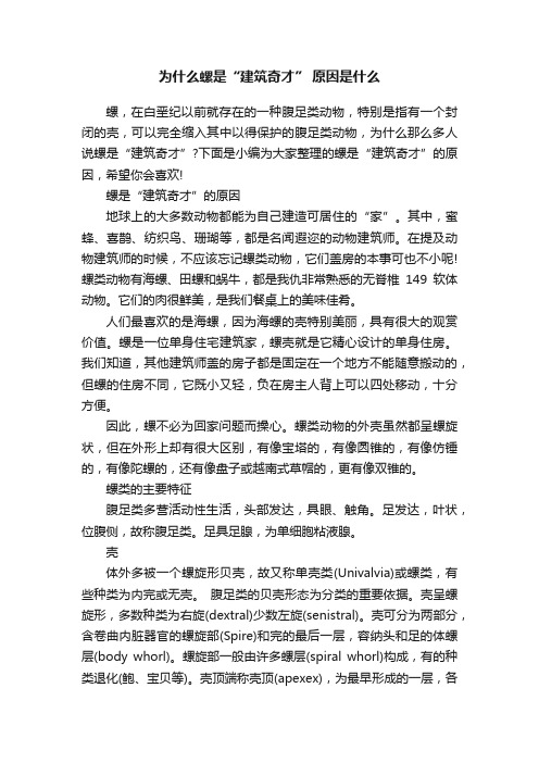 为什么螺是“建筑奇才”原因是什么