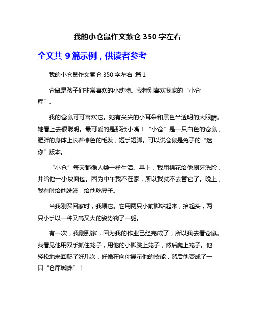 我的小仓鼠作文紫仓350字左右