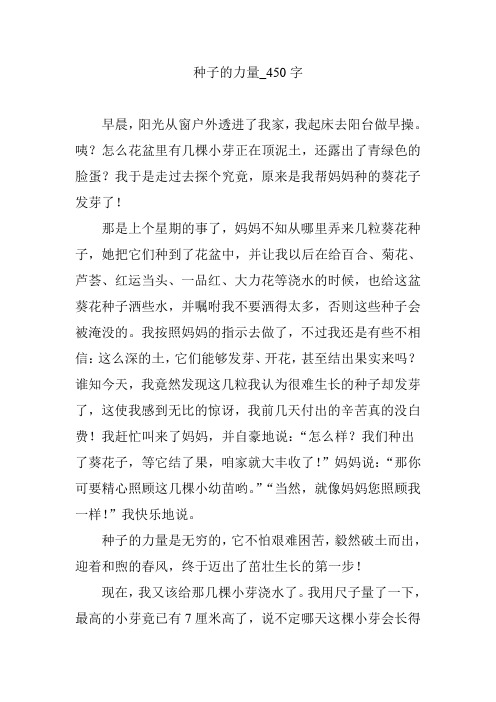 种子的力量_450字