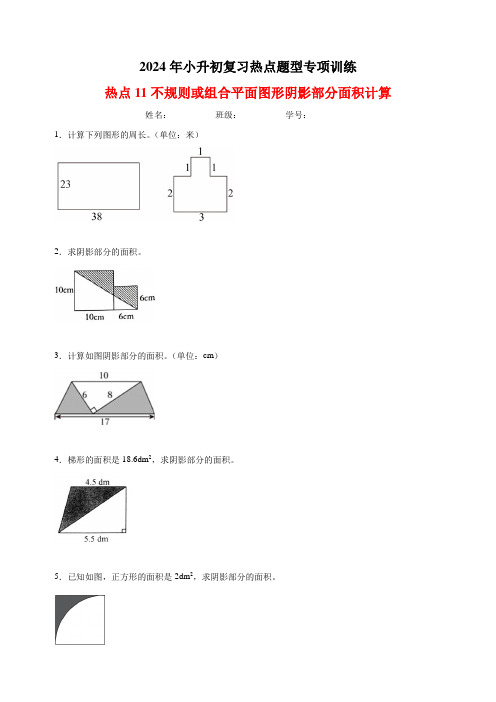 不规则或组合平面图形阴影部分面积计算-2024年小升初数学复习热点题型专项训练(通用版)(含解析)