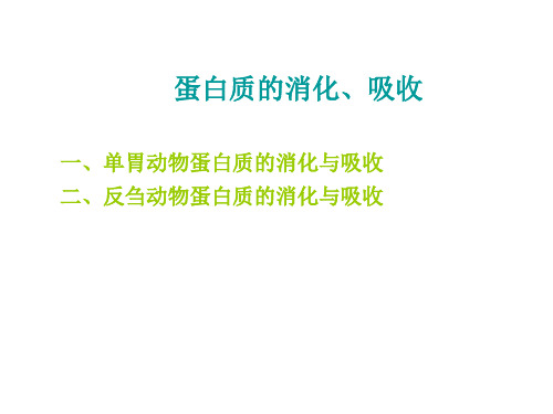 遗传学 蛋白质的消化、吸收