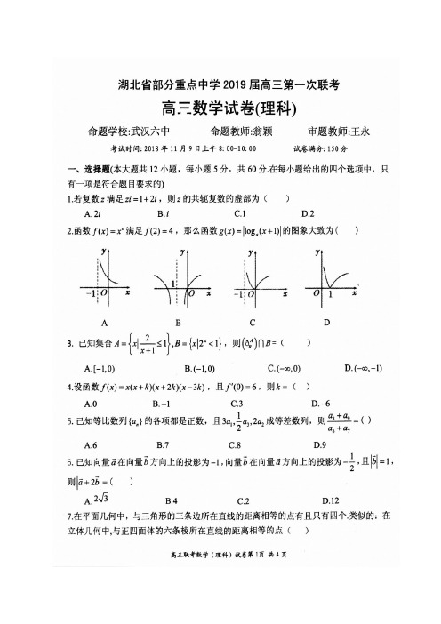 湖北省部分重点中学2019届高三第一次联考数学(理)试题(图片版)