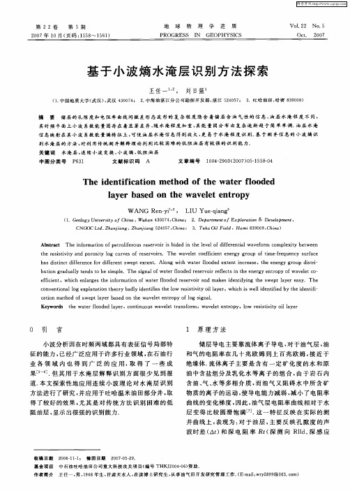 基于小波熵水淹层识别方法探索