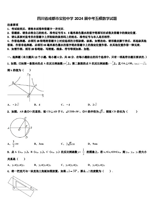 四川省成都市实验中学2024届中考五模数学试题含解析