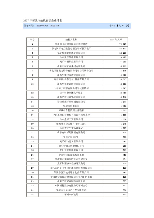 邹城十强企业