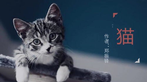 部编版七年级上册语文《猫》PPT优秀课件