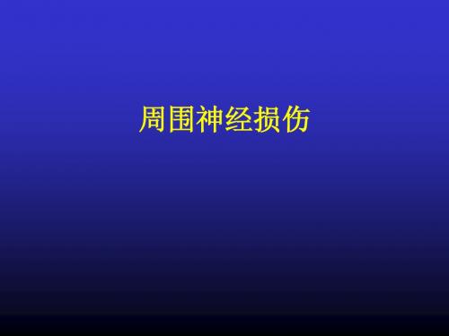 周围神经损伤的诊断与治疗PPT课件