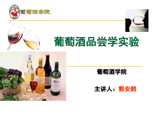 葡萄酒品尝学实验