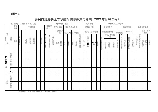 居民自建房安全专项整治信息采集汇总表