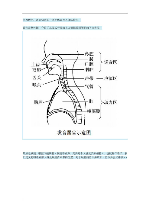 【伪声】发声器官以及腔体示意图