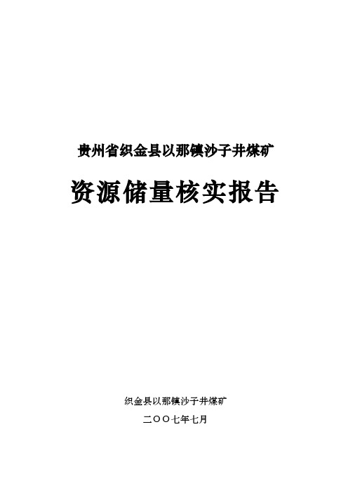 织金县沙子井煤矿资源储量核实报告