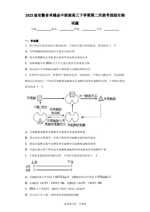 2023届安徽省卓越县中联盟高三下学期第二次联考理综生物试题(含答案解析)