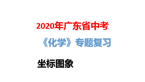 2020年广东省中考化学专题复习：坐标图象