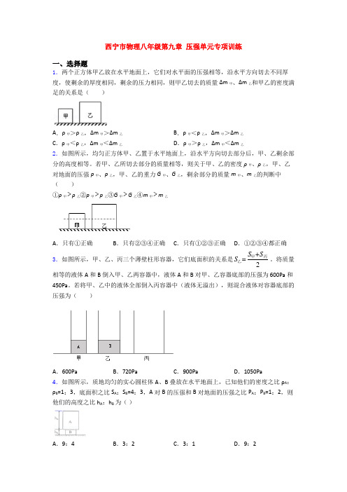 西宁市物理八年级第九章 压强单元专项训练