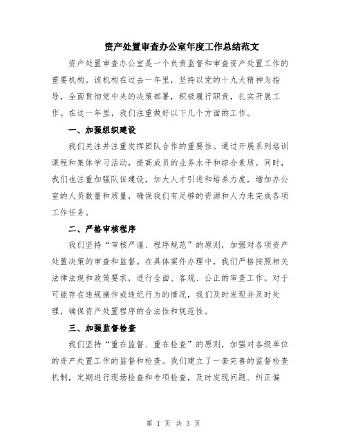 资产处置审查办公室年度工作总结范文