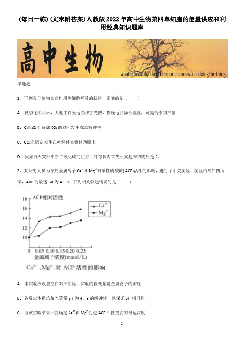 (文末附答案)人教版2022年高中生物第四章细胞的能量供应和利用经典知识题库