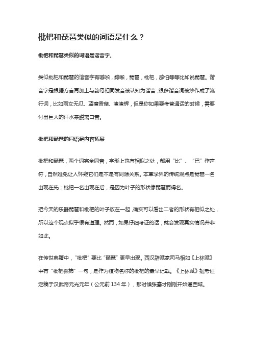 枇杷与琵琶类似的谐音词语