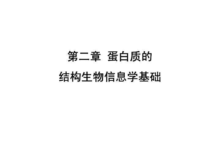 第二章  蛋白质的结构生物信息学基础