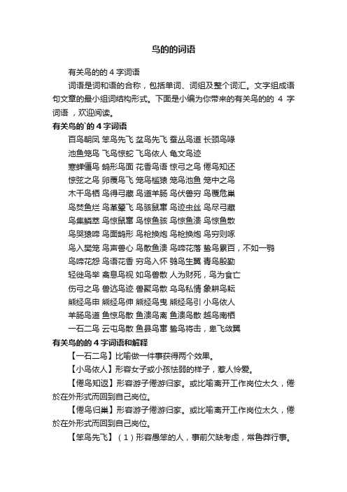 有关鸟的的4字词语