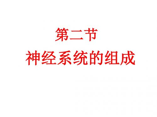 (最新)生物七年级下册《神经系统的组成》省优质课一等奖课件