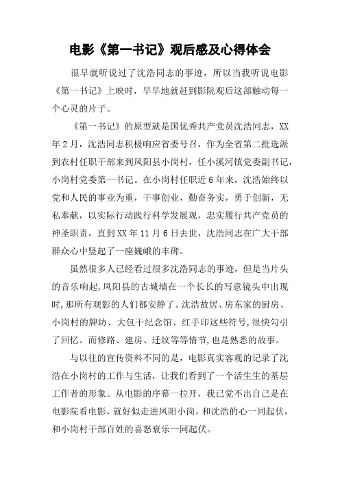 电影《第一书记》观后感及心得体会