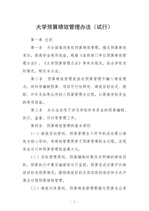 大学预算绩效管理办法(试行)