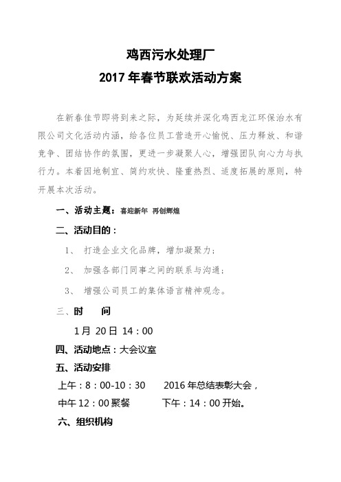 2017年元旦活动方案