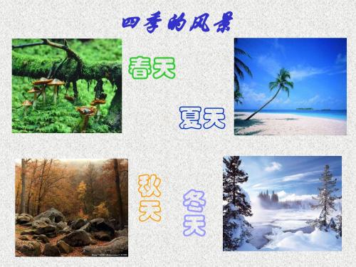 人教版初中语文七年级上册 11春 课件