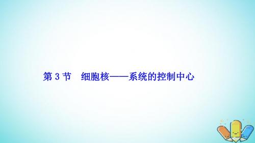 2017_2018学年高中生物第三章细胞的基本结构第3节细胞核——系统的控制中心课件新人教版必修1