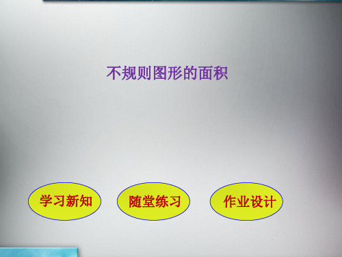 五年级上册数学课件-2.10 不规则图形的面积丨苏教版 (共25张PPT)