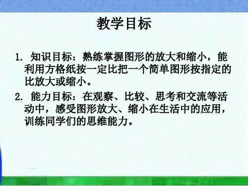 苏教版六年下图形的放大与缩小课件