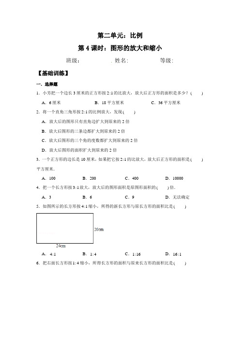 【基础+提升】2.4 图形的放大和缩小 六年级下册数学同步练习 北师大版(含答案)