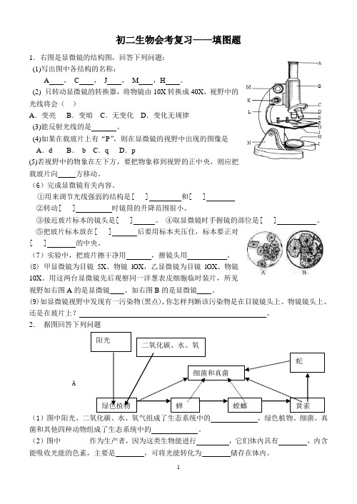 初二生物会考复习——填图题