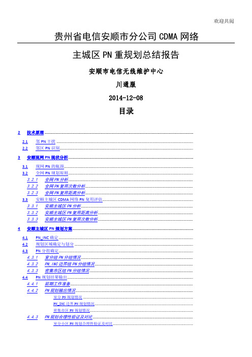 CDMA网络主城区PN重规划总结归纳报告》_行政公文_工作范