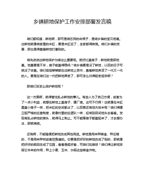 乡镇耕地保护工作安排部署发言稿