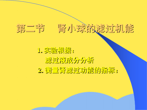 生理第八章课件第二部分(共7张PPT)