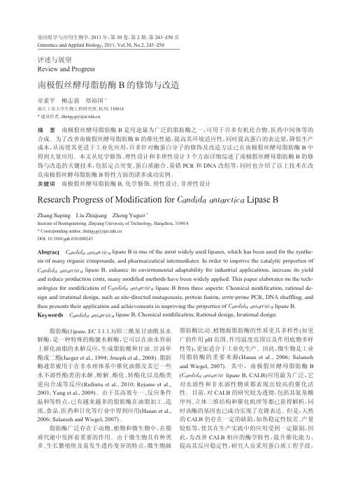 南极假丝酵母脂肪酶B的修饰与改造