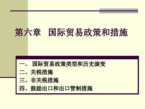 第6章国际贸易政策和措施分析