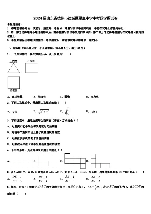 2024届山东省德州市德城区重点中学中考数学模试卷含解析