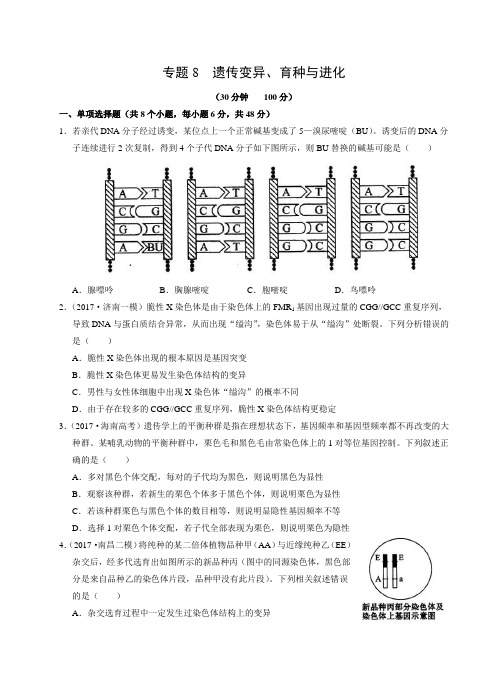 高考复习生物强化训练《专题8 遗传变异、育种与进化》